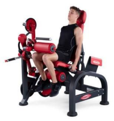 https://locfit.fsys.app.br/imagens/semproduto.png